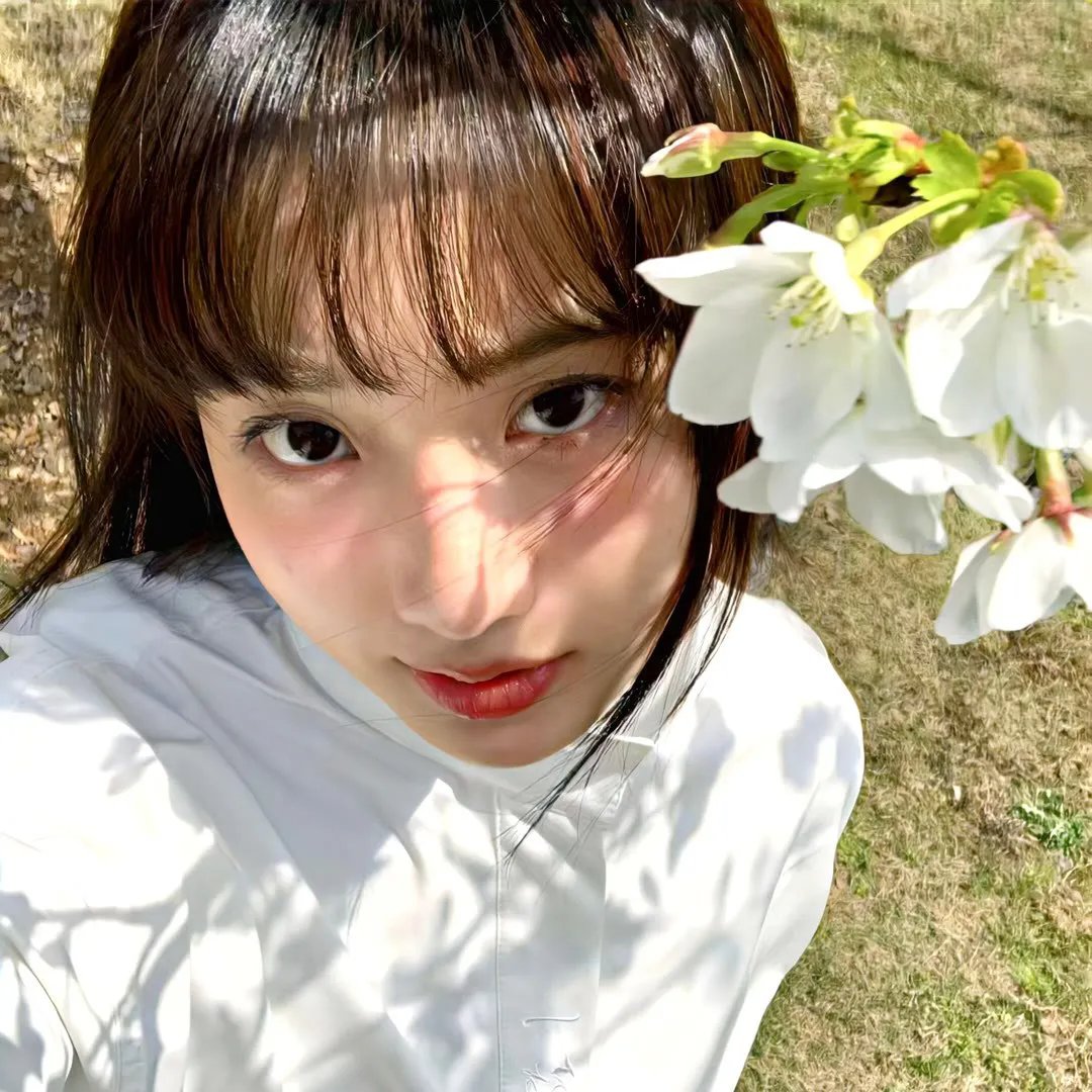 特工总裁校花宠妻